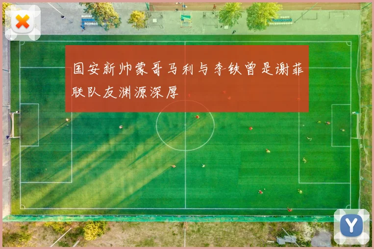 国安新帅蒙哥马利与李铁曾是谢菲联队友渊源深厚